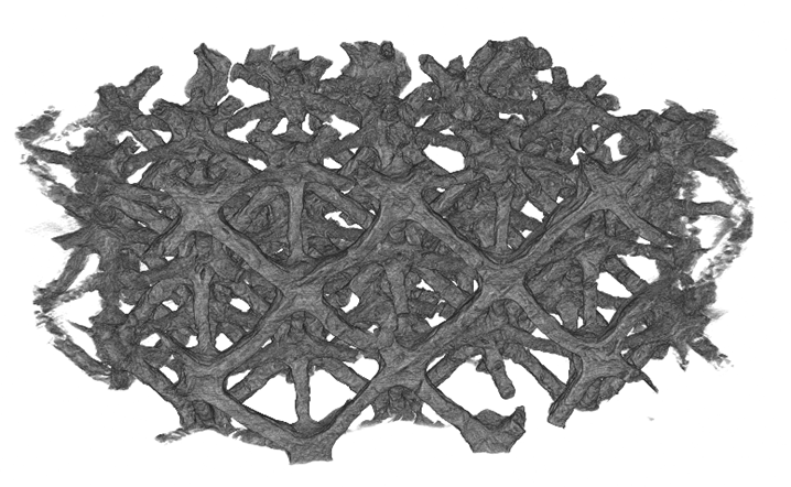 Reference 3D reconstruction of the real-world lattice dataset